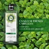 Herbal Essences Shampoo Detox Té verde menta 600 ml