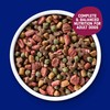 Kibbles 'n Bits Dry Dog Food, Savory Bacon & Steak