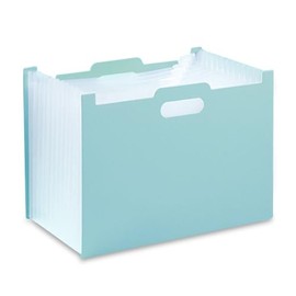 Remarks Japan File Stand, File Box, File Case, Horizontal, A4, Green, Storage, Organization, Bellows Standing, Stylish,