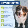 NATURE TARGET NATURE TARGET Probiotics for Dogs - Omega 3