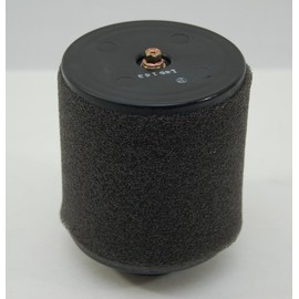 Kawasaki OEM Replacement Air Filter Brute Force 300 KVF300 12-14 11013-Y002