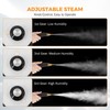 BEAMNOVA Car Steamer for Auto Detailing High Pressure Handheld Steam