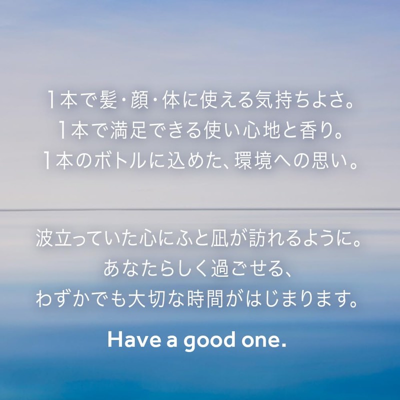 Biore One Foam Lotion, Comfort Savon, Main Unit