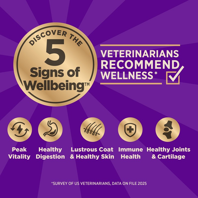 Wellness CORE+ Dry Dog Food with Freeze Dried Pieces, Wholesome