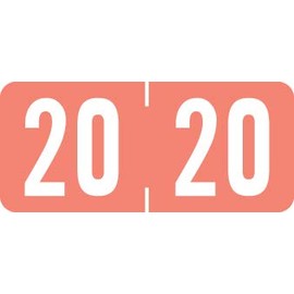 Doctor Stuff - 2020 Chart Stickers, Pink, Tab 1287 Compatible Series Labels, 1/2" x 1-1/8", 1 Roll, 500/roll