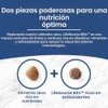 Life Protection Formula Receta de Pollo y Arroz Integral para