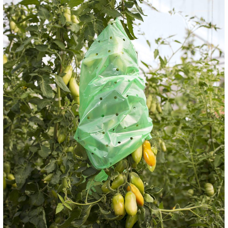 Windhager Tomato Foil Hose Strong, Tomato Cover Plant Protection Plant