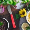 OPINEL Essential No.117 Spreading + Butter Knife, Painted Hornbeam Wood