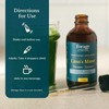 Forage Hyperfoods - Lion’s Mane Tincture, With Premium Mushroom Extract,