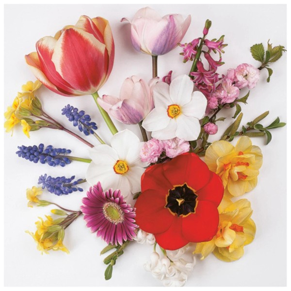 Decorative Decoupage Paper Napkins, Spring Floral Flower Napkin - Whole