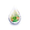 doc nature's Digestion* Essence without Alcohol 30 ml | Soothes