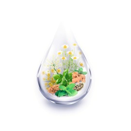 doc nature's Digestion* Essence without Alcohol 30 ml | Soothes the Stomach with Ginger | 7 Essential Oils - Vegan - No Sugar | Gasterodoc Drops