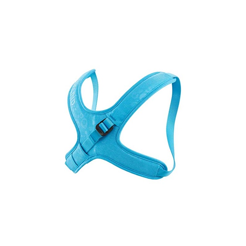 EDELRID Kermit II Chest Strap for Children, Colour: Icemint, Size: