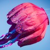 In the Breeze 5232 — Jellyfish Big Breeze Windsock™ —