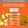 Qunol Turmeric Curcumin with Black Pepper & Ginger, 2400mg Turmeric