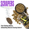 Xtreme Scrapers Wafers - Premium 14mm Fast-Sinking Fish Food –