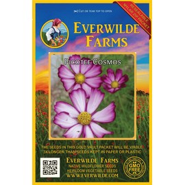 Everwilde Farms - 500 Picotee Cosmos Wildflower Seeds - Gold Vault Jumbo Seed Packet