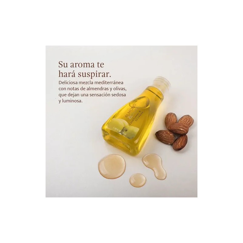Kit Shampoo Y Jabón Jypesa 200pzs Amenidades Airbnb Hoteles
