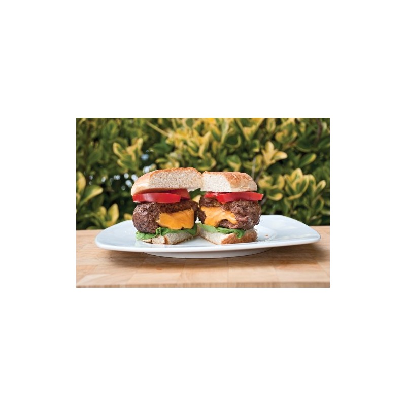 Charcoal Companion CC7308 Stuff-A-Burger 2 Piece Basket and Press Set