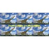 Edition Colibri Brachiosour Dinosaur Lenticular Postcard with Wobble Effect /