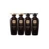 려 Ryo Ginseng Scalp and Hair Nourishing Shampoo 400ml 2