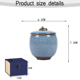Small Urns for Human Ashes,Ceramic Memorial Mini Ashes Urns,Hold 5.5 Cubic Inches of Ashe,for Human Or Pet,Beautiful Mini Sharing Funeral Urn with Exquisite Box (Light Blue)