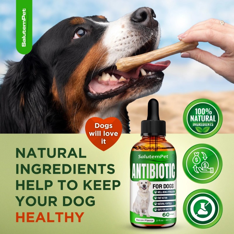 SalutemPet Natural Dog Antibiotics | UTIs, Allergies, Joints, Digestion |