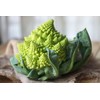 Seeds Romanesco Broccoli Beautiful Cabbage Heirloom Vegetable Non GMO