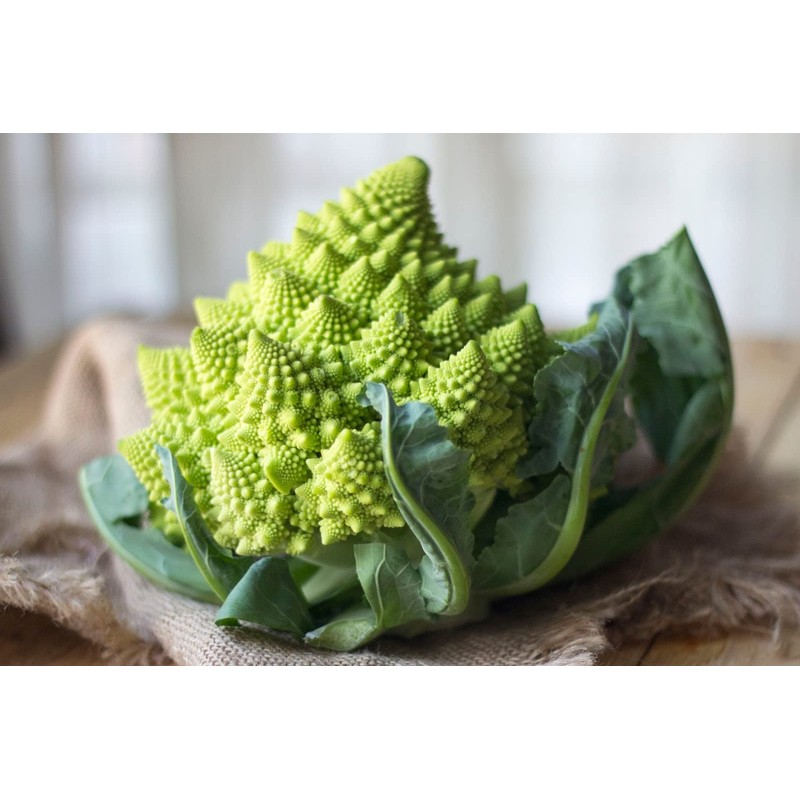 Seeds Romanesco Broccoli Beautiful Cabbage Heirloom Vegetable Non GMO