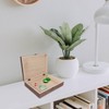 SEWACC Wooden Storage Box with Hinged Lid and Lock Simple