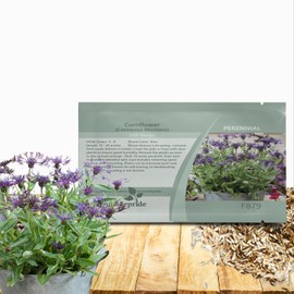 Outsidepride Montana Blue Cornflower Seeds for Planting - 1000 Pcs. Perennial Bachelor's Button Flower Seeds for Cut Flower, Drought-Tolerant, Attracts Pollinators, Ideal for Borders & Bouquets