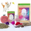 Cat Toys Bundle Pack Lama Drama and Watermellon Wiggles Catnip