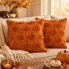 Pumpkin Fall Pillow Covers 18x18In Set of 2 Orange, Ultra