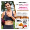 Bioherb Canela Ceylán 100 Pura Certificada Origen 180 Cápsulas Alta