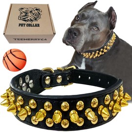 teemerryca Black Leather Dog Collar with Gold Spikes for Boy Small Medium Large Pets,Pit Bulls/Bulldog, Keep Dog Safe from Grabbing by Huge Dogs,XS(8.2"-10.6")
