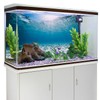 AWERT 36x18 inches Vinyl Undersea Ocean Floor Aquarium Background Tropical