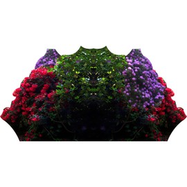 Wet Paint SP13299 Garden Rose Bush Shrub Flower Forest Cardboard Cutout Cardboard Cutout S