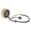 Magneto Stator with Flywheel Rotor Kit 12 Coil 5 Wire