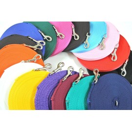 Puppy Training Lead Small Dog Recall Obedience Training Leash 20ft (6m) in 13mm Strong Webbing in (Electric Blue)