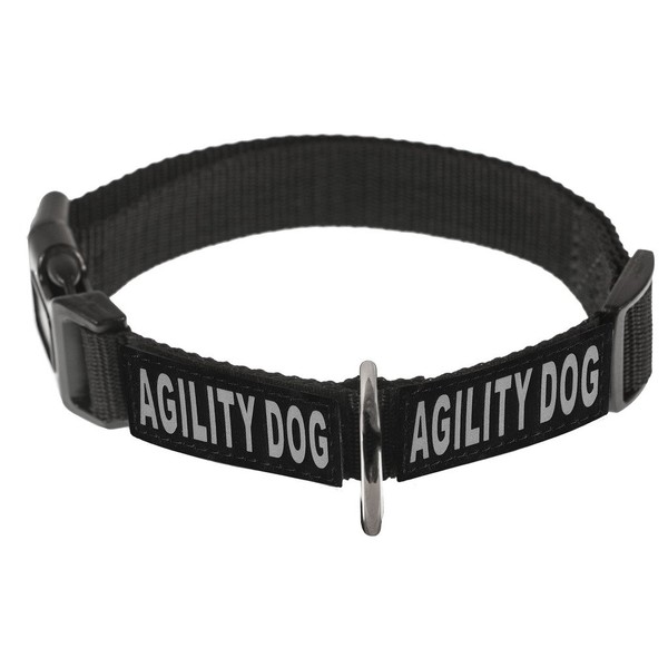 Dogline Omega Nylon Collar for Dogs with 2 Removable Agility Dog Patches (Red, 16"-21")