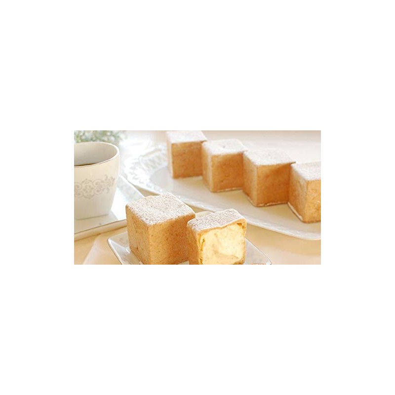 Asai Shoten Altite Bread Pan, Petite Cube 5, Silver