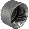 Duda Energy Standard Cap 1-1/2" Female NPT 304 Stainless Steel