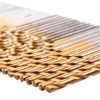 Bestgle 50 Pcs Mini Twist Drill Bit Set Titanium Coated