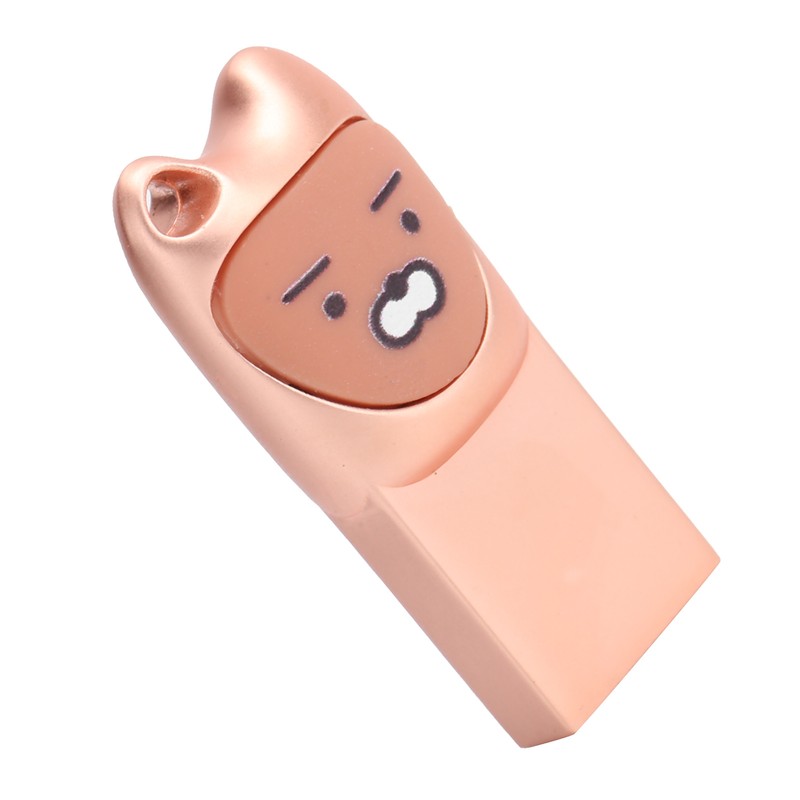 U Disk Portable Data Reading Transmission Device Card Reader Cartoon