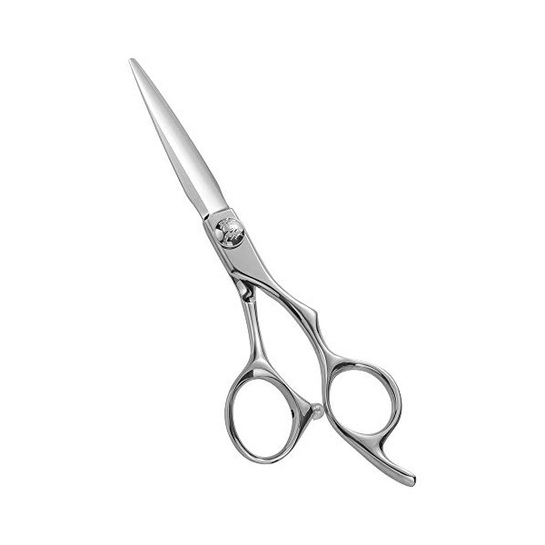 Aolanduo Prime Barber Scissor with SUPER CONVEX EDGE- AICHI JP440C Hair Cutting Scissors/Durable Smooth Motion & Fine Hair Cutting Shears for Salon (6.0 Inch)