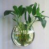 DSBAOMA Wall Mounted Fish Bowl Hanging Betta for Aquarium Wall