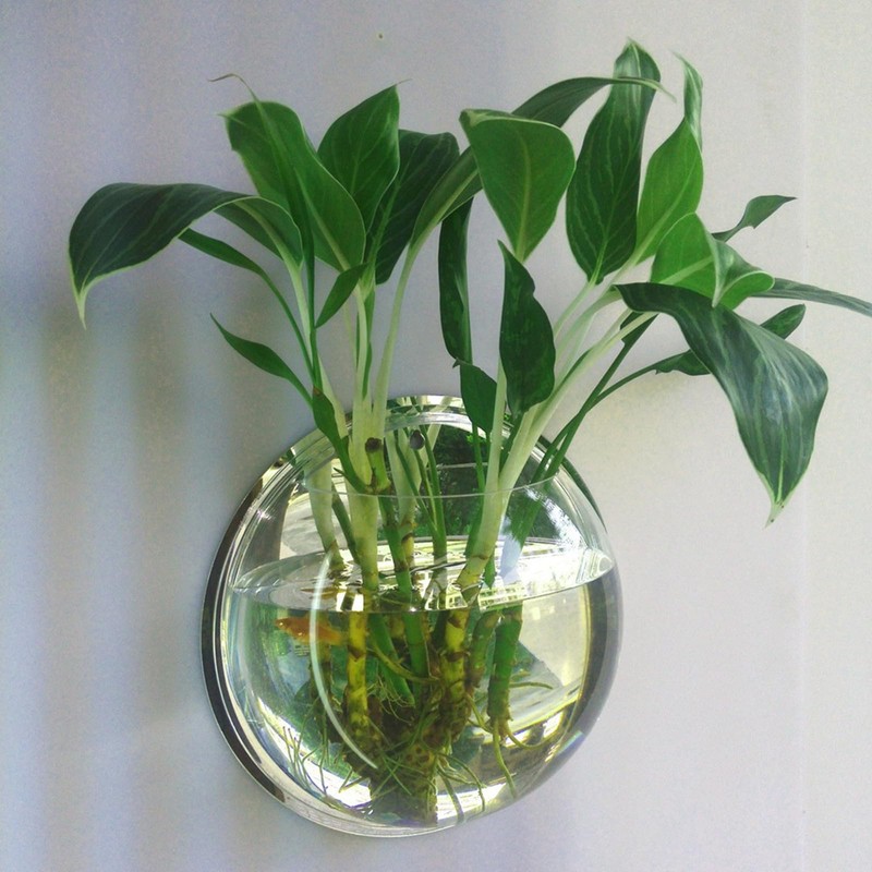 DSBAOMA Wall Mounted Fish Bowl Hanging Betta for Aquarium Wall
