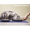BiteKing Stainless Steel Cat Bowls, Whisker Fatigue Relief Cat Food