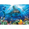 Educa 18478 Puzzles 500 Pieces, White Shark, No Colour