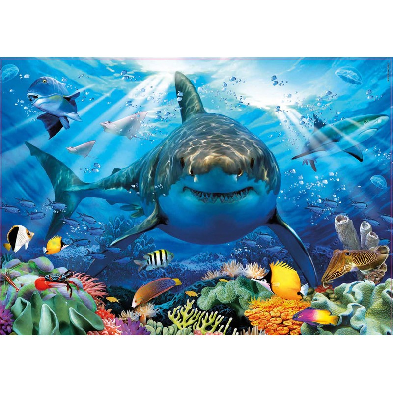 Educa 18478 Puzzles 500 Pieces, White Shark, No Colour